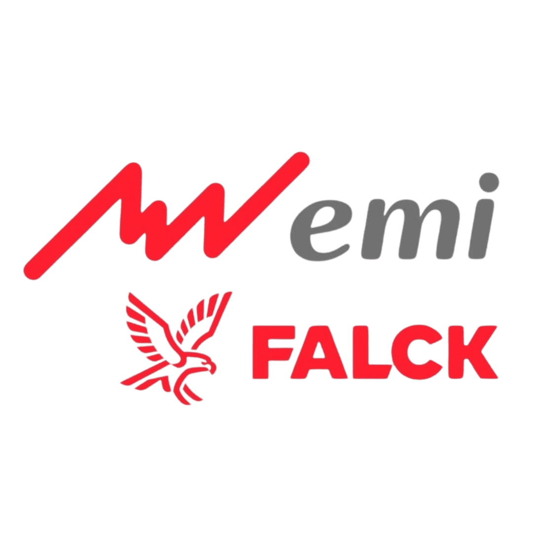 Logo EMI Falck